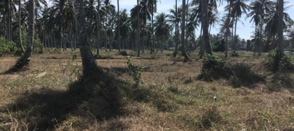 1600m² Commercial property in Khok Kloi, Thailand No. 8234 3