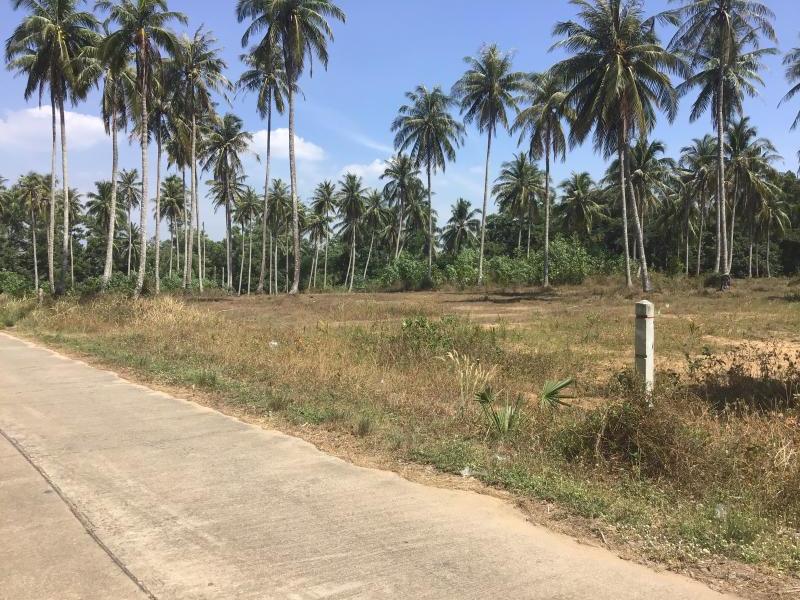 1600m² Commercial property in Khok Kloi, Thailand No. 8234