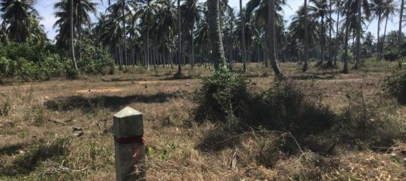 1600m² Commercial property in Khok Kloi, Thailand No. 8234 2