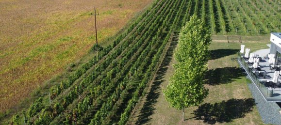 197m² Commercial property in Oberwart, Austria No. 236529 9