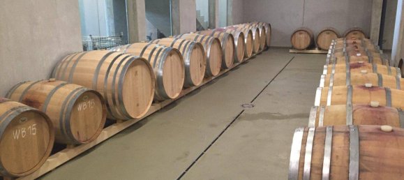 197m² Commercial property in Oberwart, Austria No. 236529 11