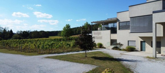 197m² Commercial property in Oberwart, Austria No. 236529 8