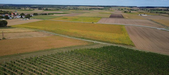 197m² Commercial property in Oberwart, Austria No. 236529 4