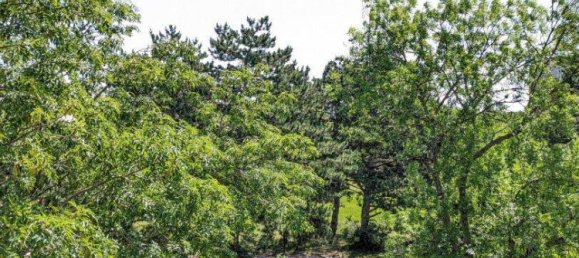 Квартира с 3 комнатами в Мария Энцерсдорф, Австрия № 147905 2