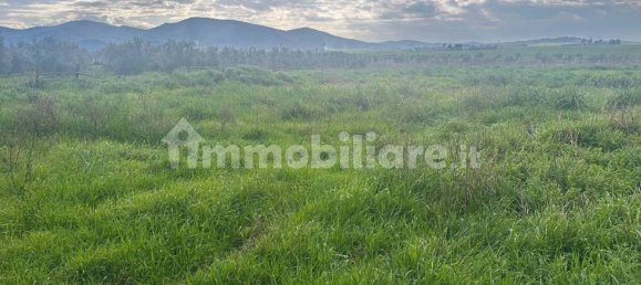 Casa de 5 divisões em Grosseto, Italy N.º 208846 14