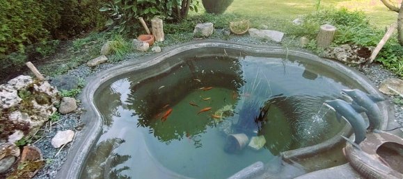 2 rooms House in Treuchtlingen, Germany No. 237532 16