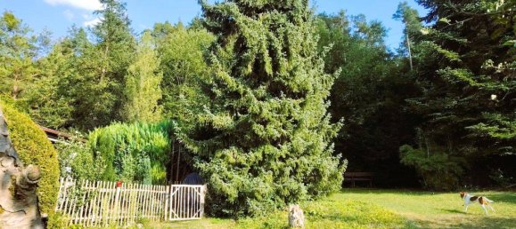 2 rooms House in Treuchtlingen, Germany No. 237532 5