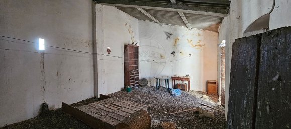 5 chambres Maison à Campo Maior, Portugal No. 24087 36