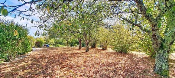 2 غرف نوم منزل في Lagraulet-du-Gers, France رقم 362828 16