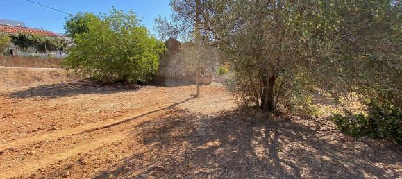 3 bedrooms House in Quelfes, Portugal No. 30811 2