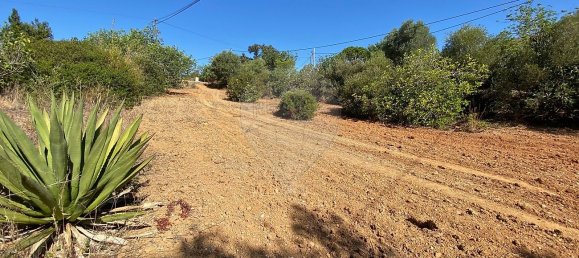 3 bedrooms House in Quelfes, Portugal No. 30811 8