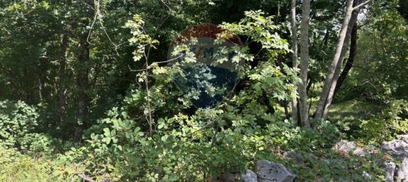 3610m² Land in Trieste, Italy No. 267457 23