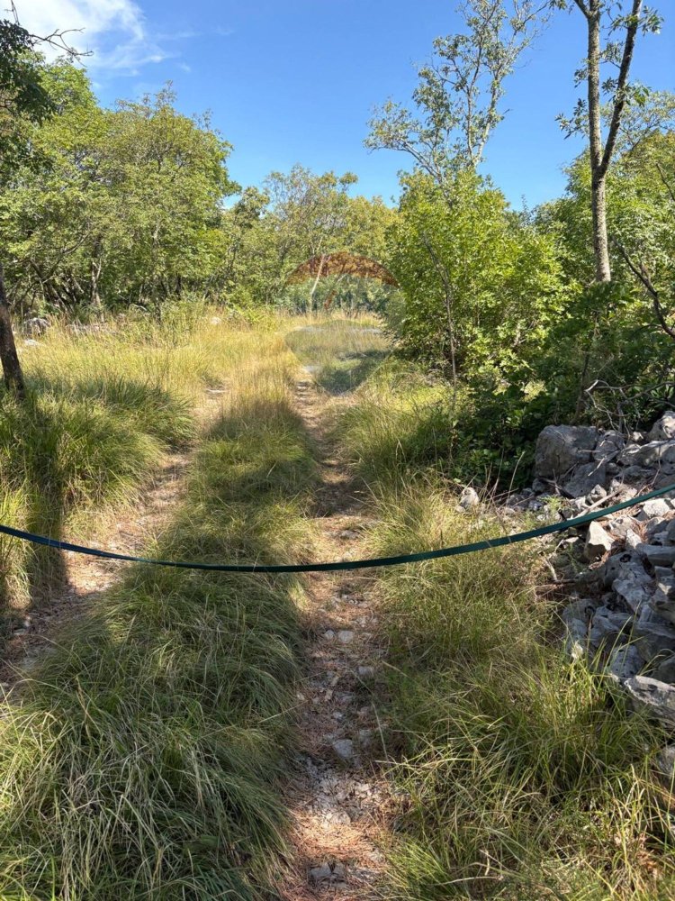 3610m² Land in Trieste, Italy No. 267457