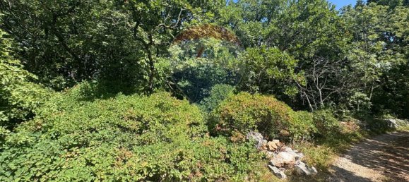 3610m² Land in Trieste, Italy No. 267457 22