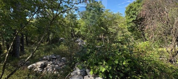 3610m² Land in Trieste, Italy No. 267457 13