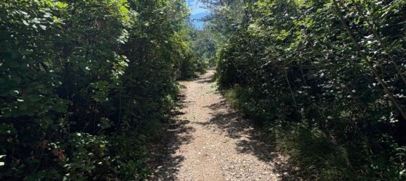 3610m² Land in Trieste, Italy No. 267457 24