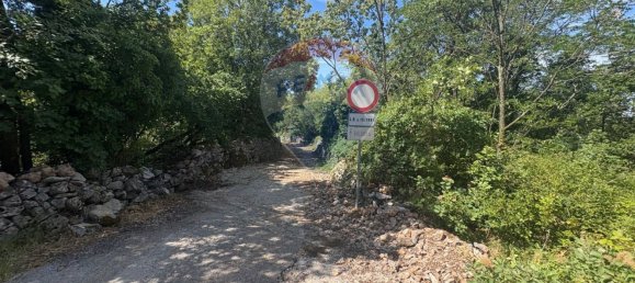 3610m² Land in Trieste, Italy No. 267457 15