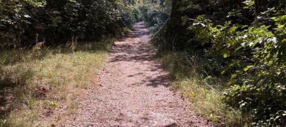 3610m² Land in Trieste, Italy No. 267457 25