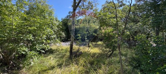 3610m² Land in Trieste, Italy No. 267457 4