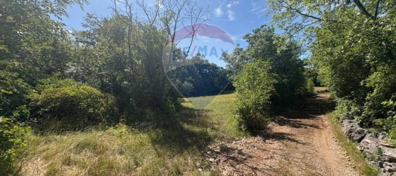 3610m² Land in Trieste, Italy No. 267457 18