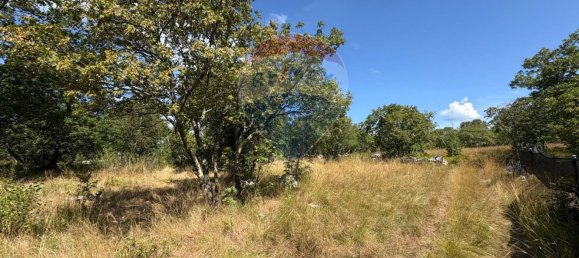 3610m² Land in Trieste, Italy No. 267457 10