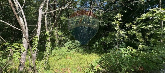 3610m² Land in Trieste, Italy No. 267457 20