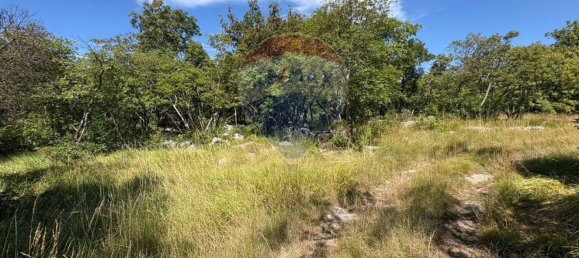 3610m² Land in Trieste, Italy No. 267457 7