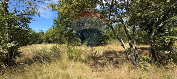 3610m² Land in Trieste, Italy No. 267457 11