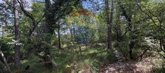 3610m² Land in Trieste, Italy No. 267457 26