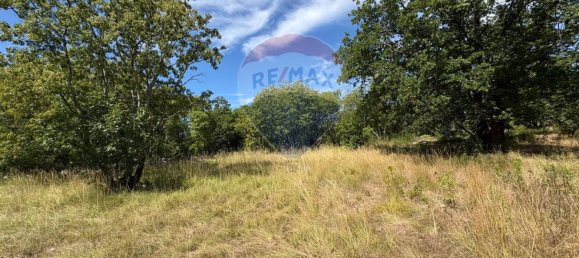 3610m² Land in Trieste, Italy No. 267457 12