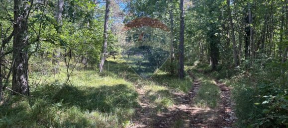 3610m² Land in Trieste, Italy No. 267457 14