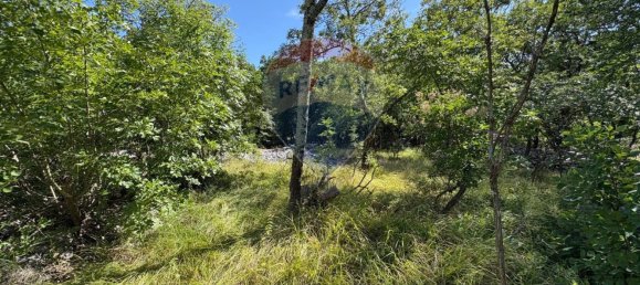 3610m² Land in Trieste, Italy No. 267457 5