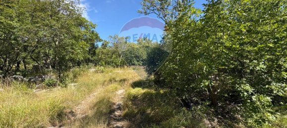 3610m² Land in Trieste, Italy No. 267457 8