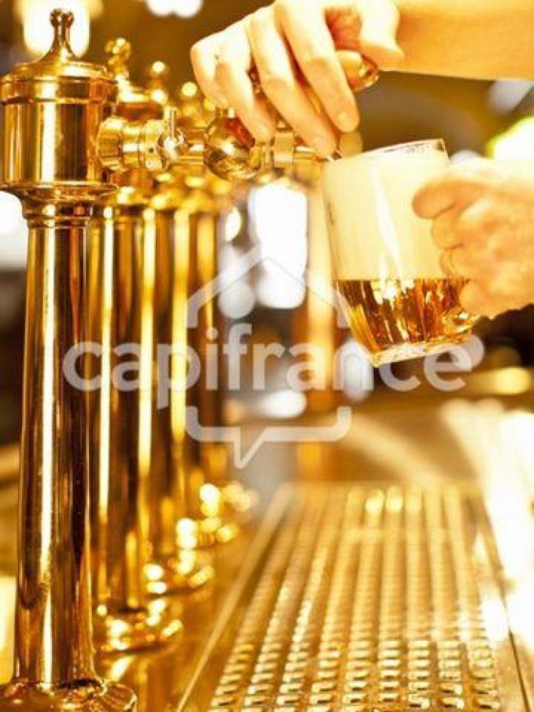 176m² Office in Lille, France No. 19049