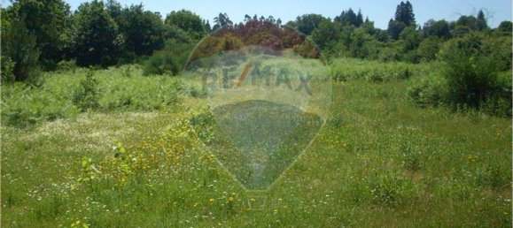 4227m² Land in Vila Verde, Portugal No. 33175 2