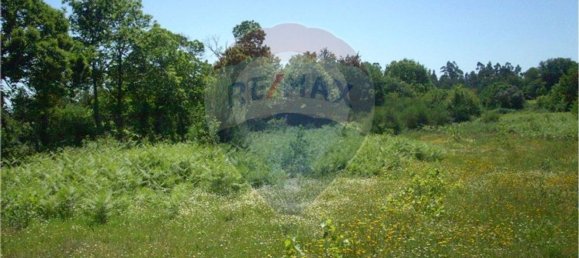 4227m² Land in Vila Verde, Portugal No. 33175 3