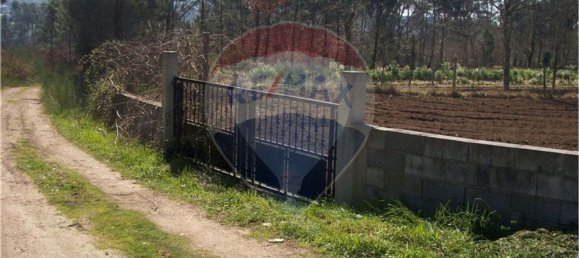 4227m² Land in Vila Verde, Portugal No. 33175 5