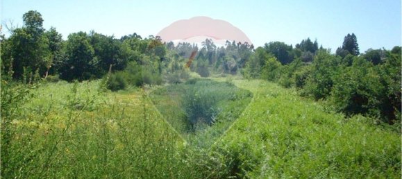 4227m² Land in Vila Verde, Portugal No. 33175 4