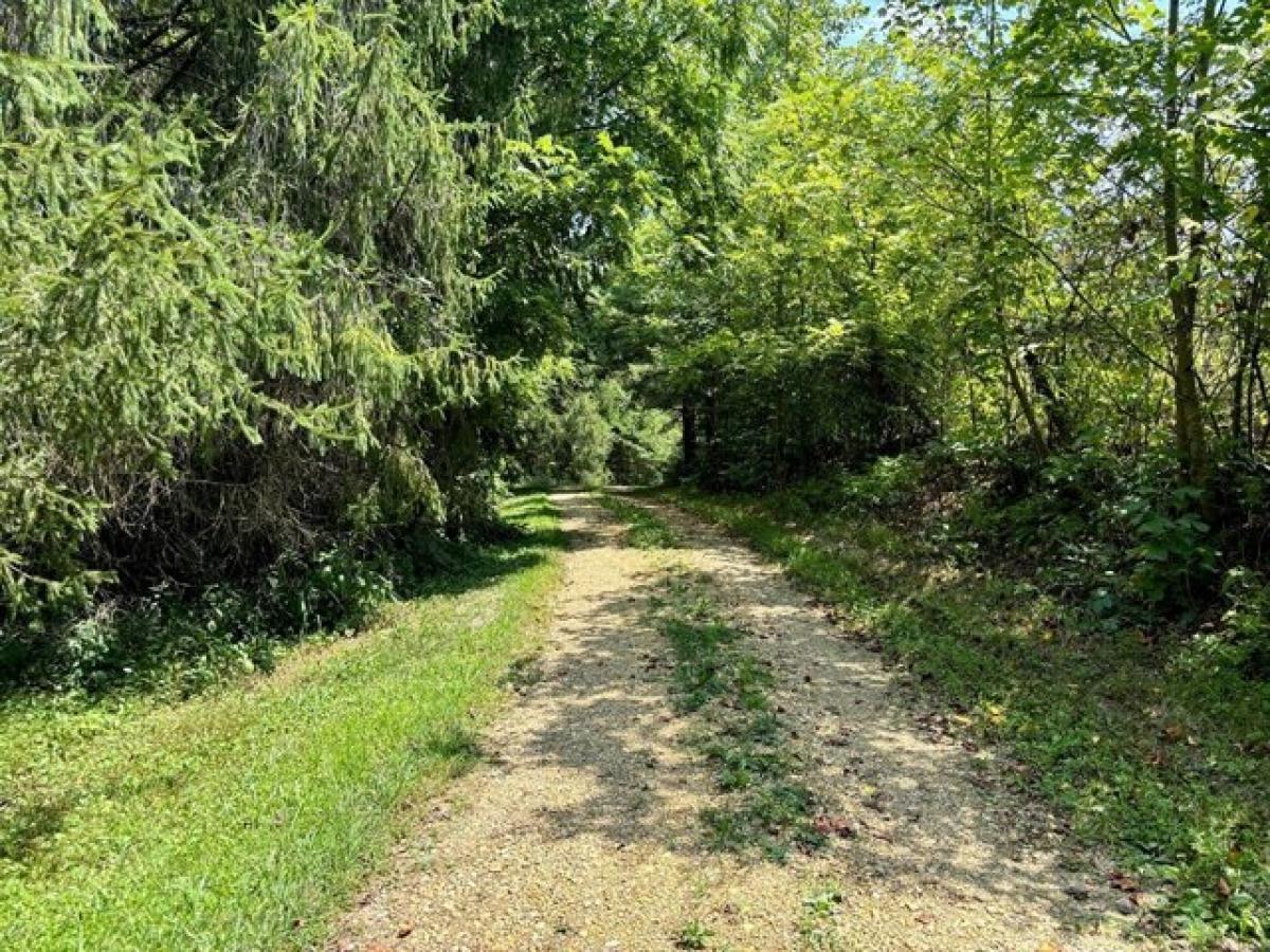 3 bedrooms House in Bainbridge, USA No. 441223