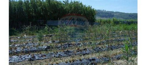 Casa de 1 dormitorio en Cela, Portugal No. 60635 10