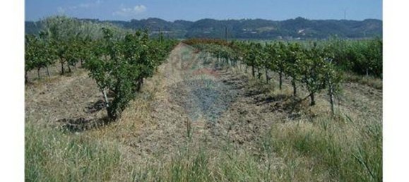 Casa de 1 dormitorio en Cela, Portugal No. 60635 9