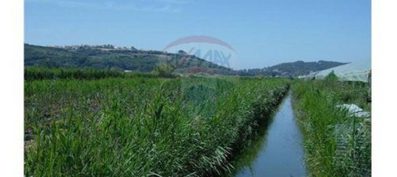 Casa de 1 dormitorio en Cela, Portugal No. 60635 11