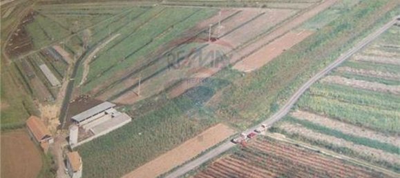 Casa de 1 dormitorio en Cela, Portugal No. 60635 8