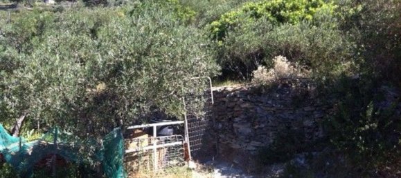 1070m² Land in Alassio, Italy No. 154787 3