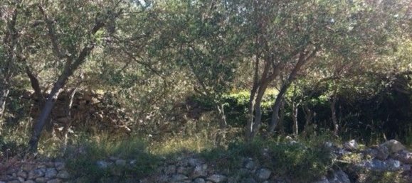 1070m² Land in Alassio, Italy No. 154787 4