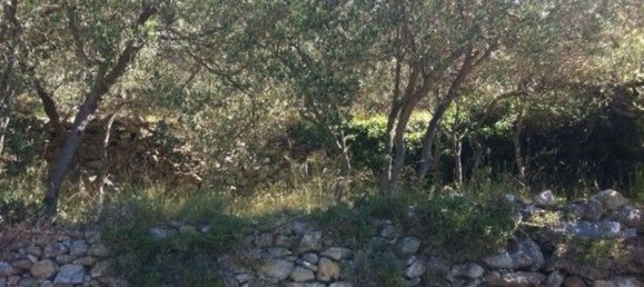 1070m² Land in Alassio, Italy No. 154787 5