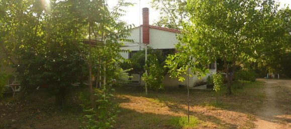 18000m² Hotel in Chalkidiki, Greece No. 8039 9