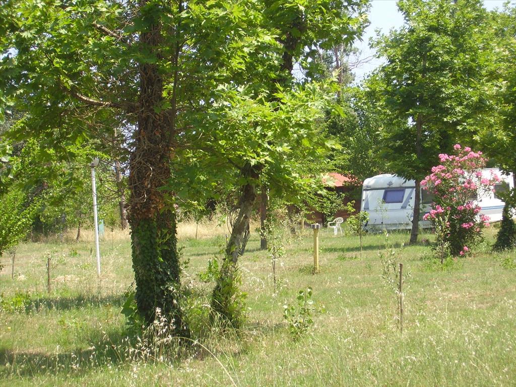 18000m² Hotel for sale in Chalkidiki, Central Macedonia, Macedonia and Thrace, Greece № 8039