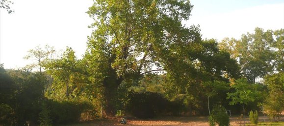 18000m² Hotel in Chalkidiki, Greece No. 8039 4