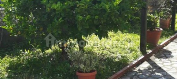 3 Schlafzimmer Haus in Carrara, Italy, Nr. 50525 4